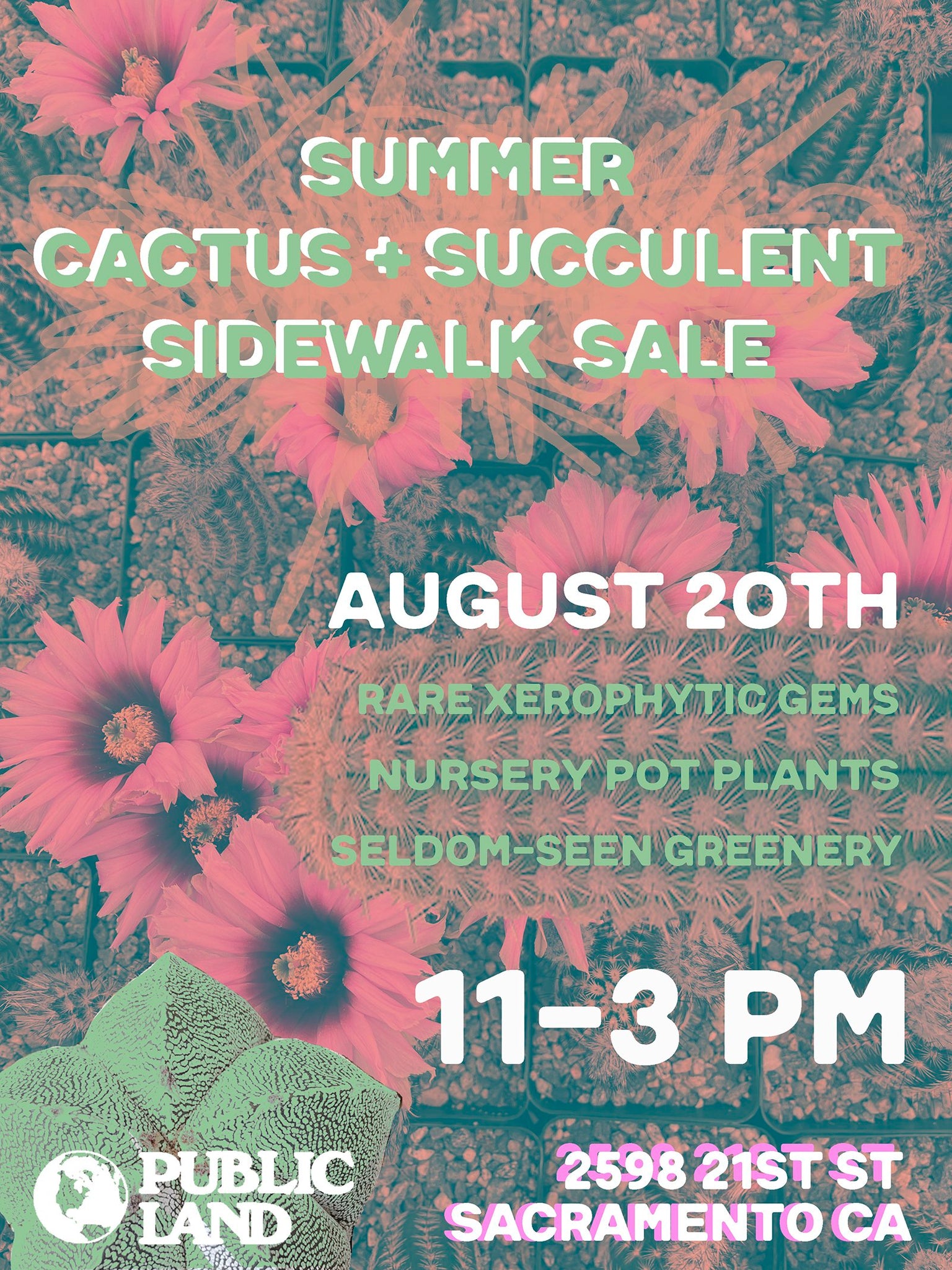 Summer Cactus + Succulent Sidewalk Sale