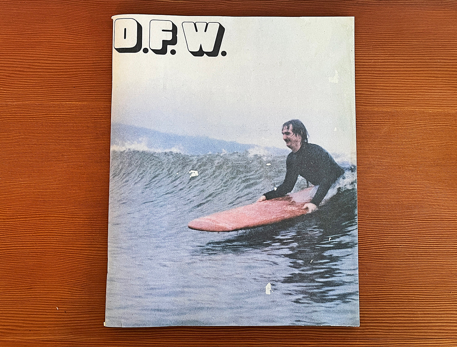 D.F.W. Zine | Public Land Store Sacramento & San Francisco