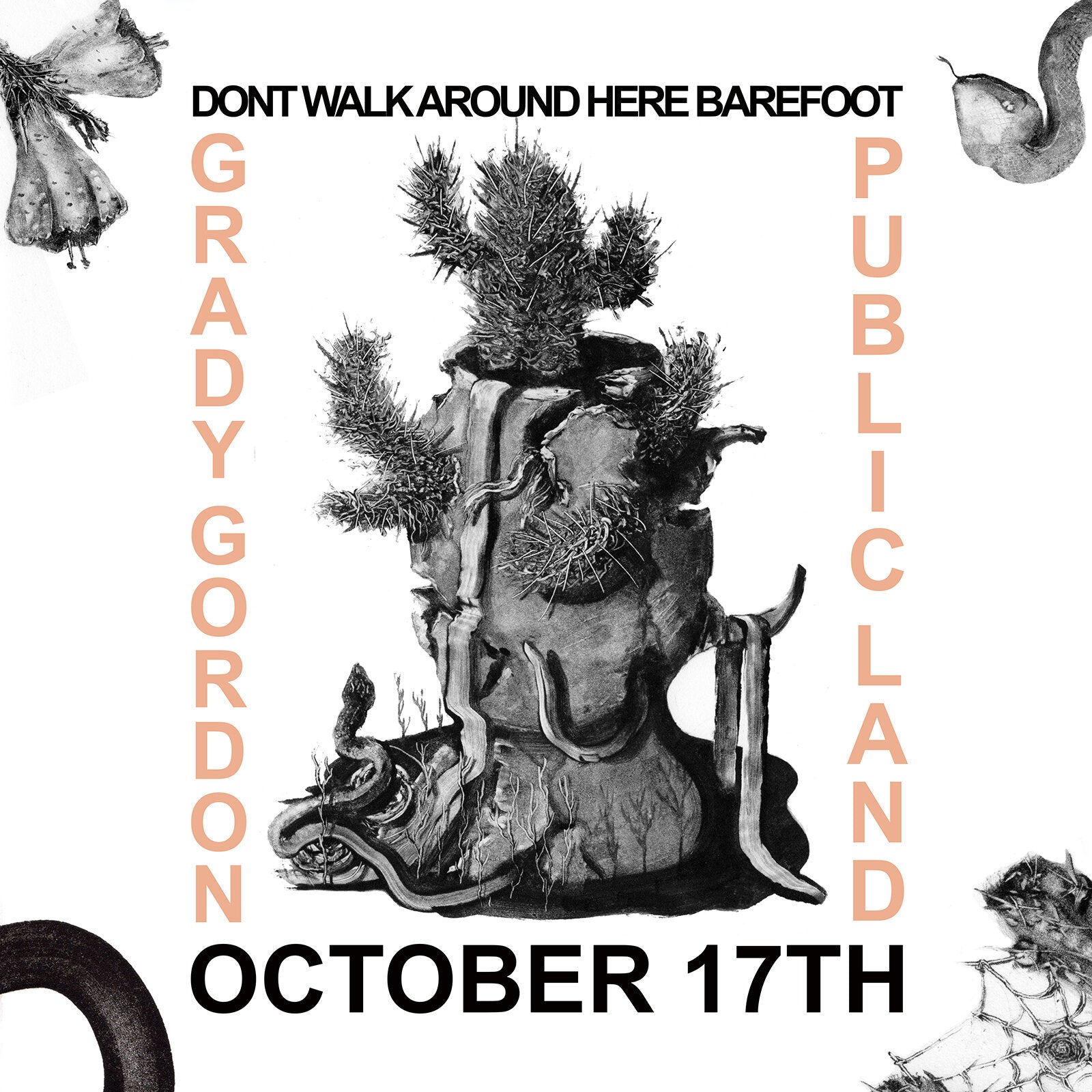 Grady Gordon's "Don't Walk Around Here Barefoot" @ Public Land Gallery