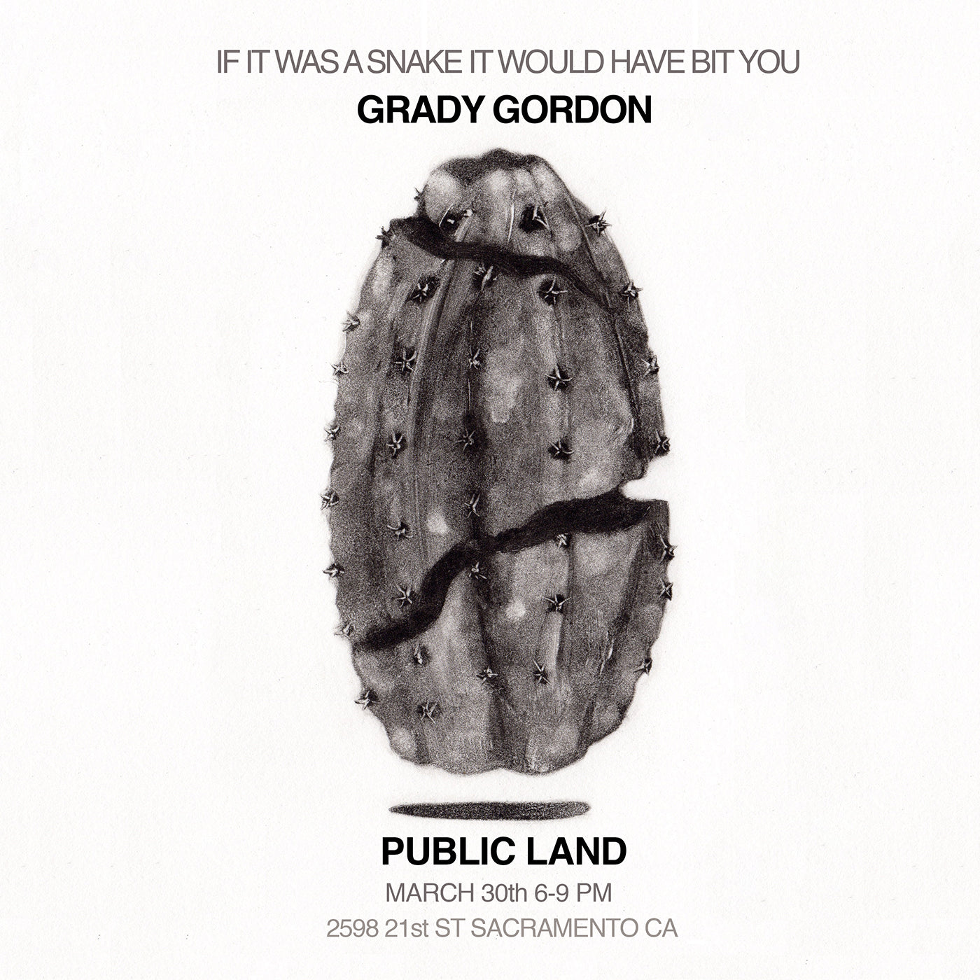 Grady Gordon's "If It Was A Snake It Would Have Bit You" @ Public Land