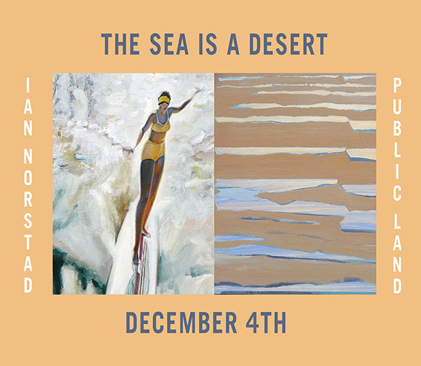 Ian Norstad's "The Sea is a Desert" @ Public Land Gallery