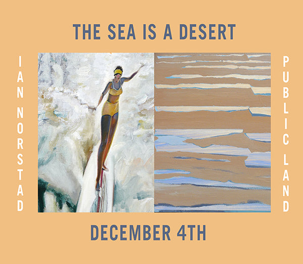 Ian Norstad's "The Sea is a Desert" @ Public Land Gallery