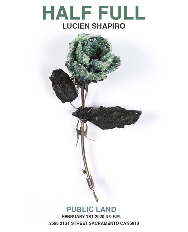 Lucien Shapiro's "Half Full" @ Public Land Gallery