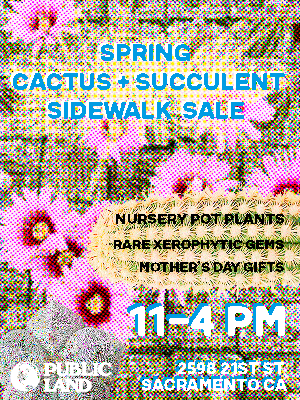 Spring Cactus and Succulent Sale - 2025