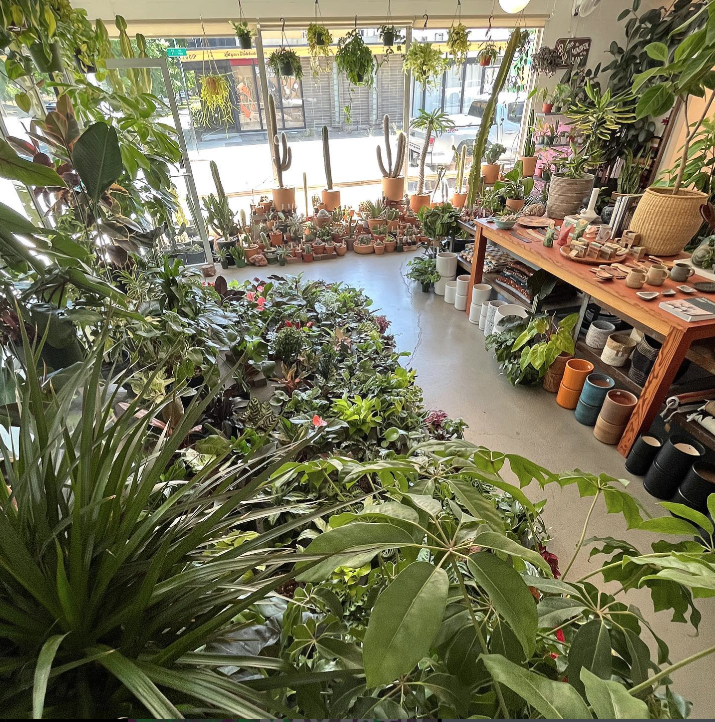 Plant Tetris | Organized Chaos