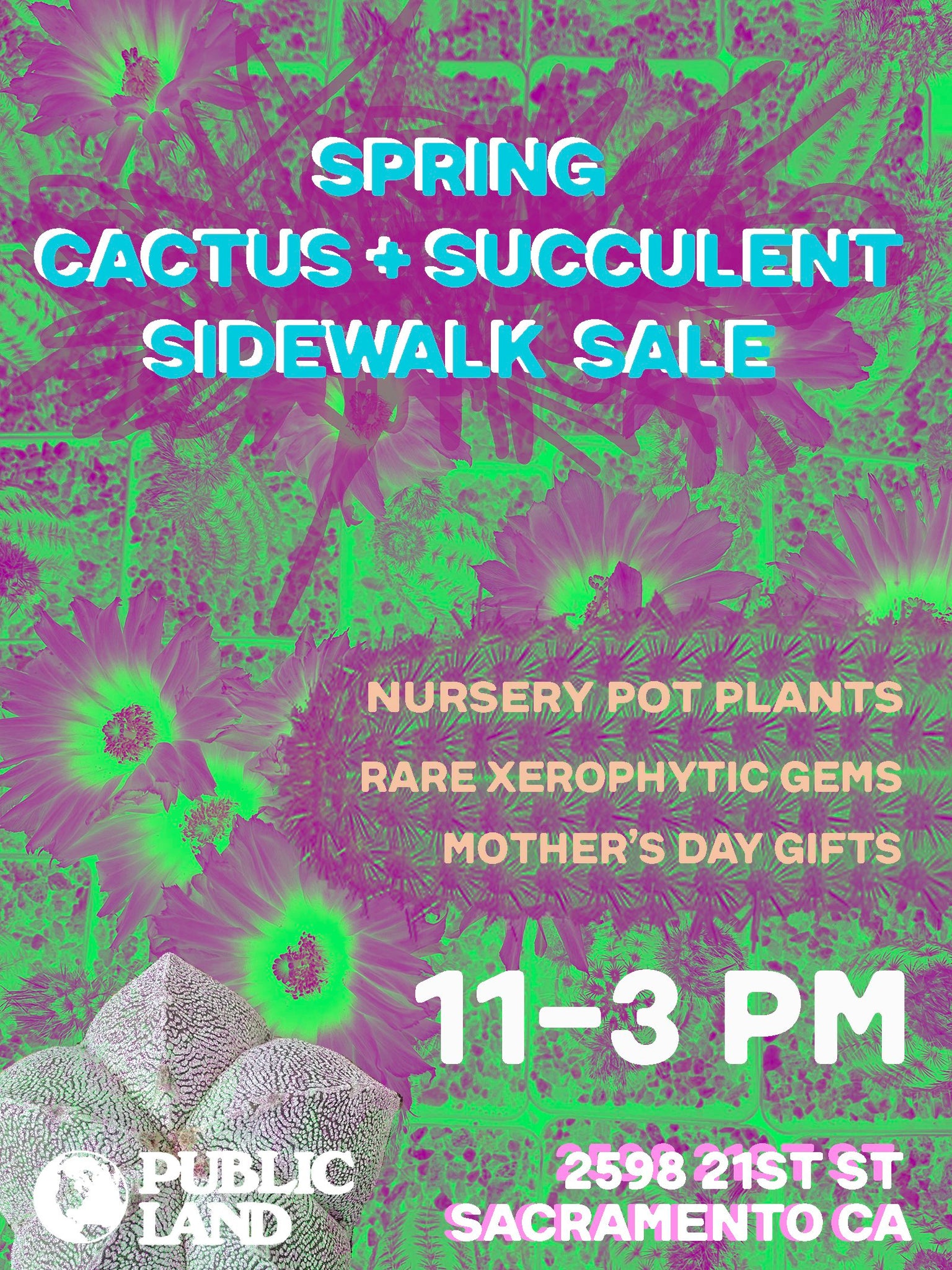 Spring Cactus + Succulent Sidewalk Sale