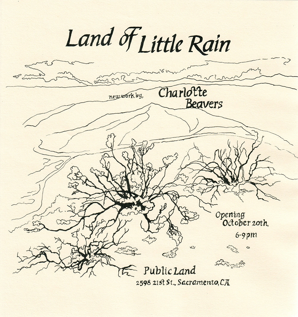 Charlotte Beavers' "Land Of Little Rain" @ Public Land