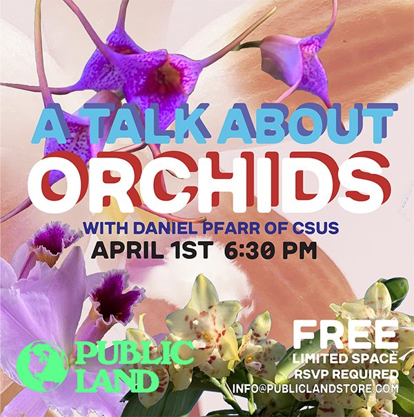 A Talk About Orchids