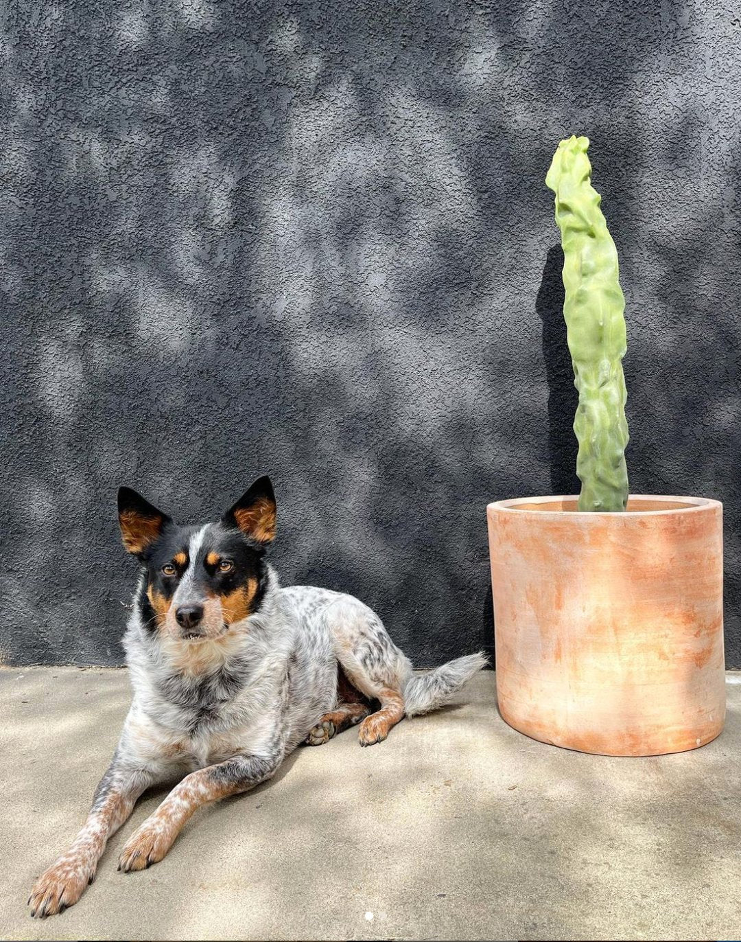 Raffle for Refugees – Public Land Store