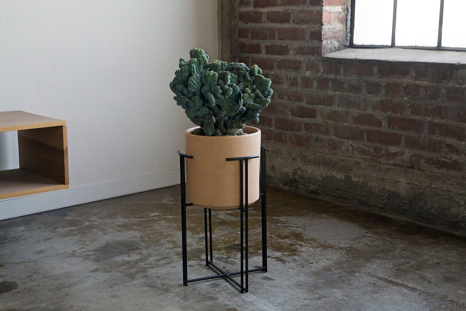 Trent Dean x Public Land Plant Stand – Public Land Store