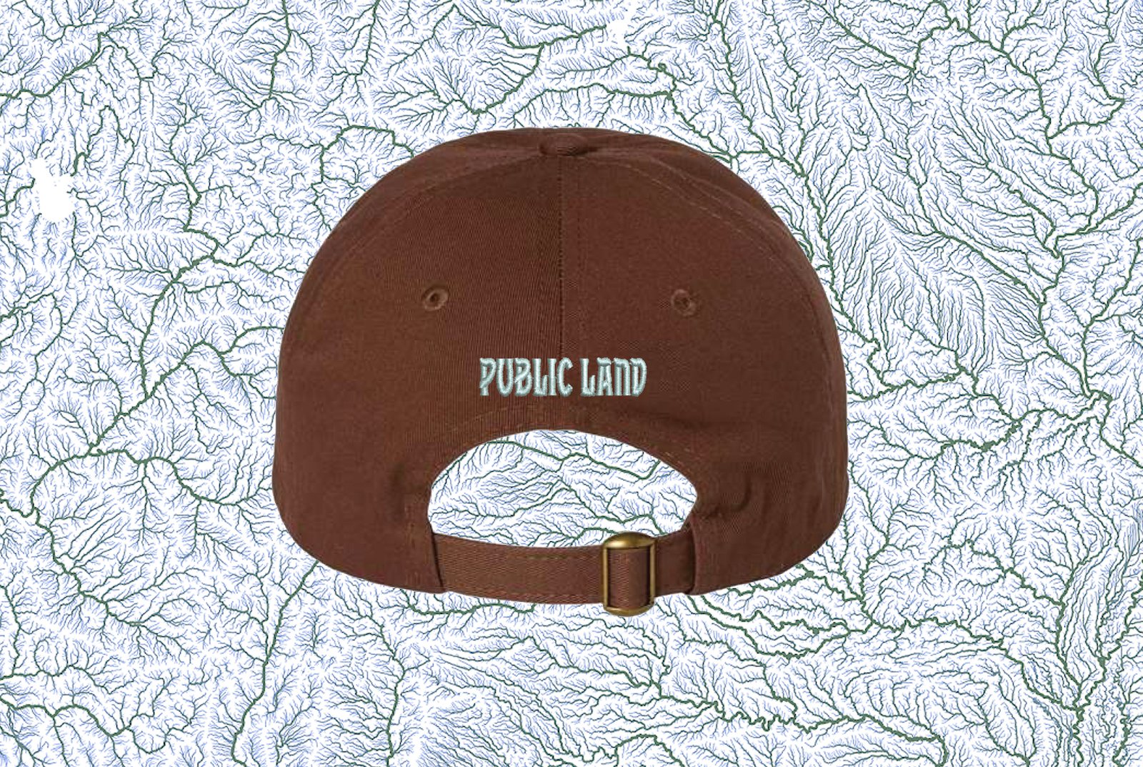 Earth Systems Hat - Brown