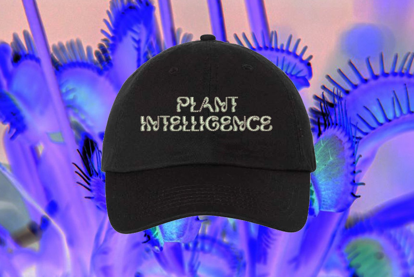 Plant Intelligence Hat - Black
