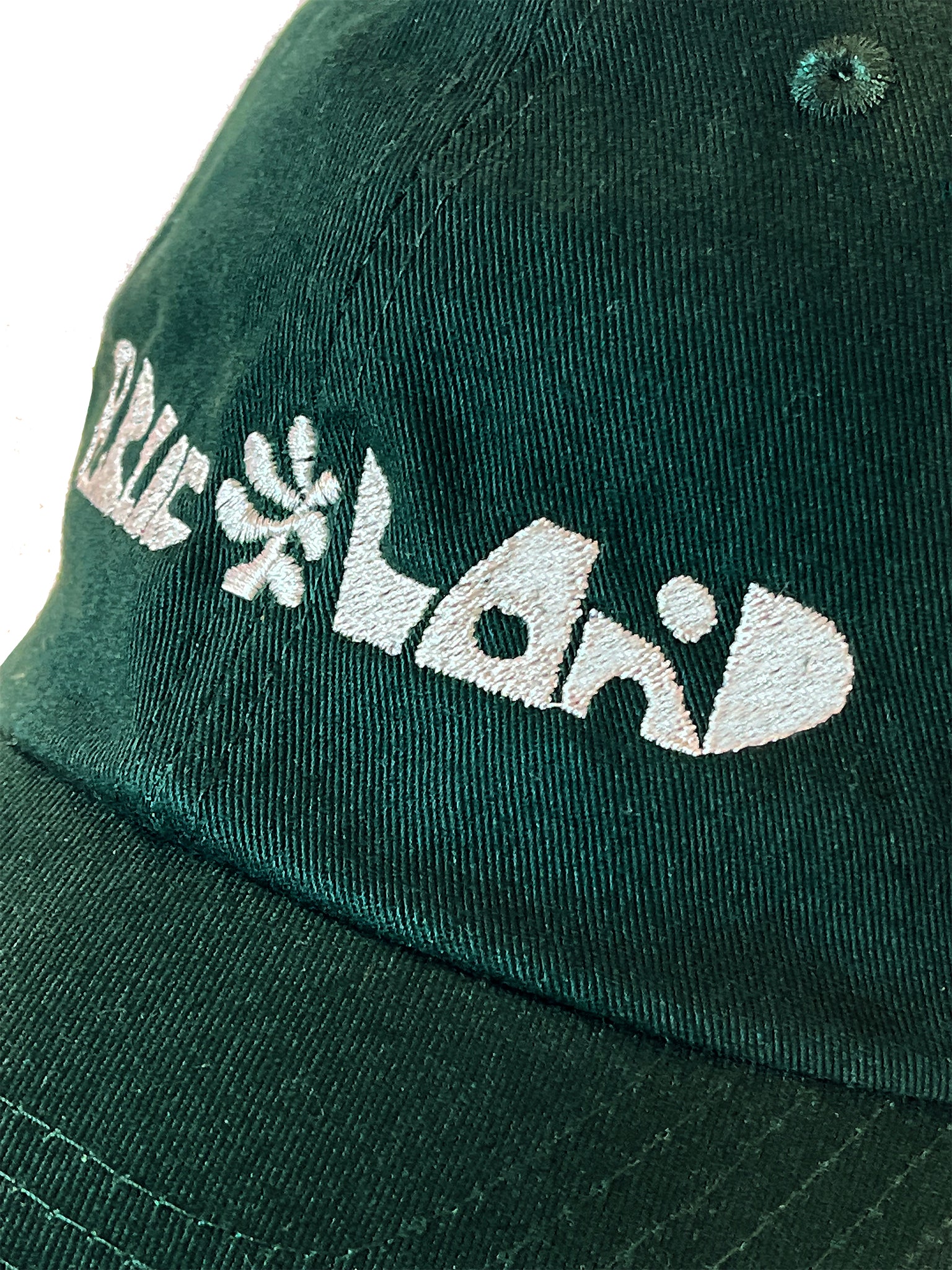 Public Land Cut Out Hat - Green