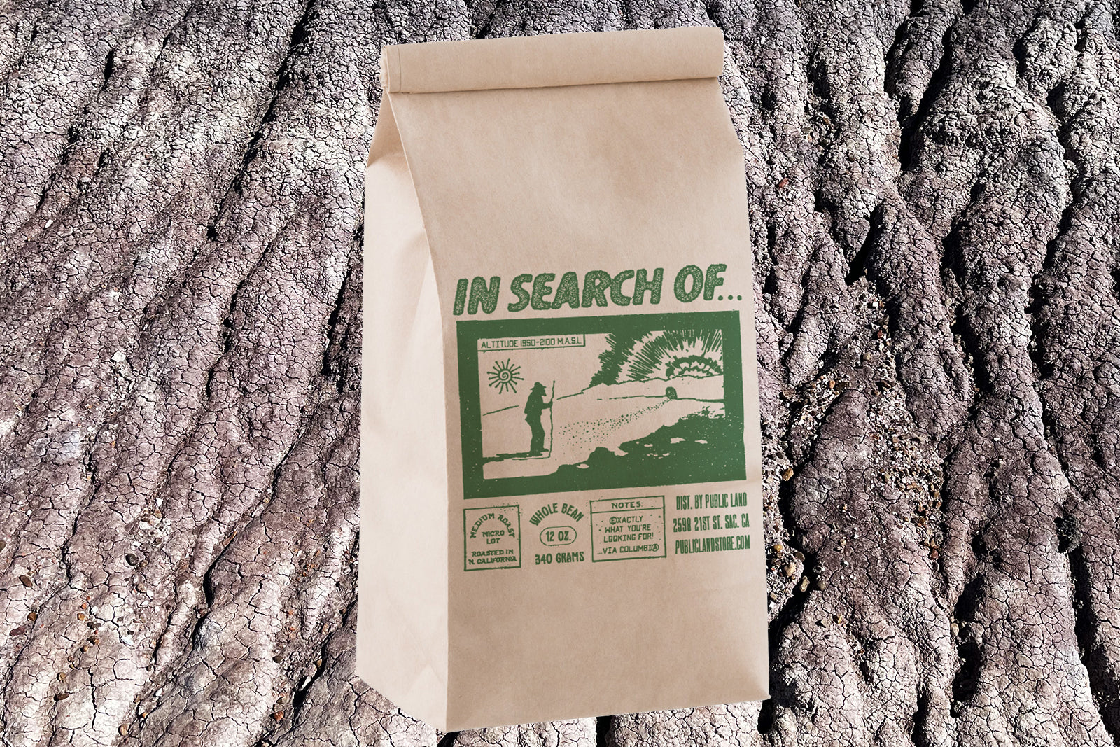 IN SEARCH OF... - Medium Roast Whole Bean Coffee: 12oz