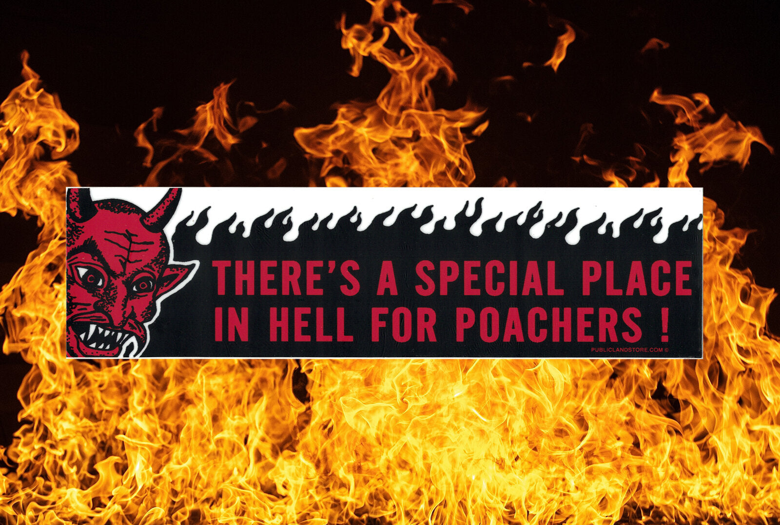 There's A Special Place In Hell For Poachers! - Bumper Sticker