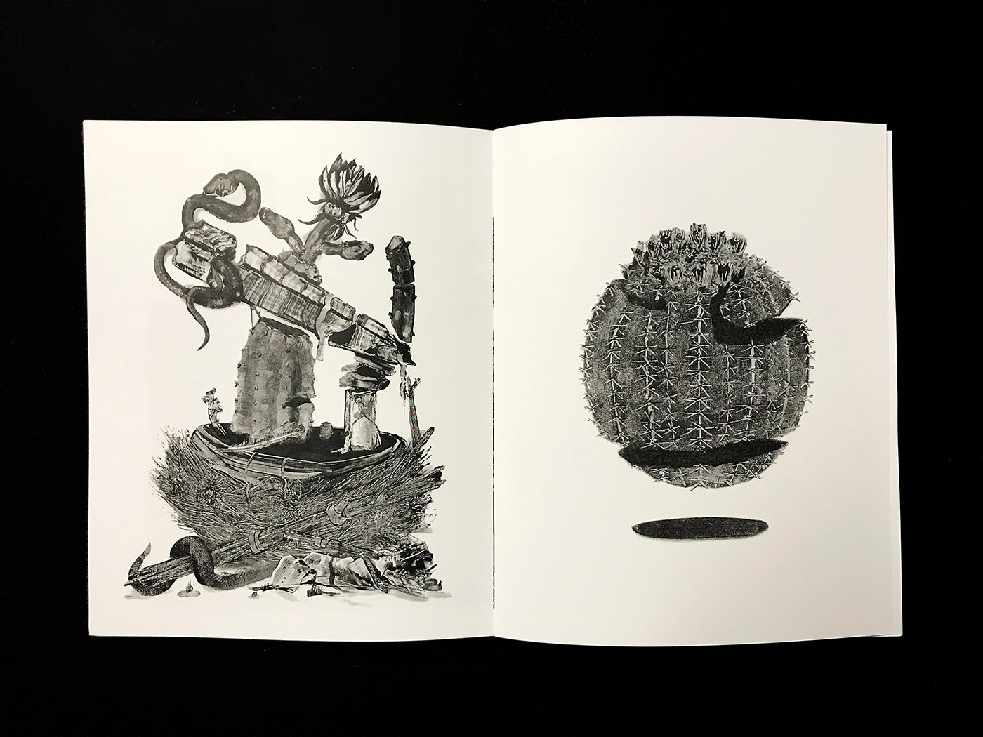 Grady Gordon Zine + Print
