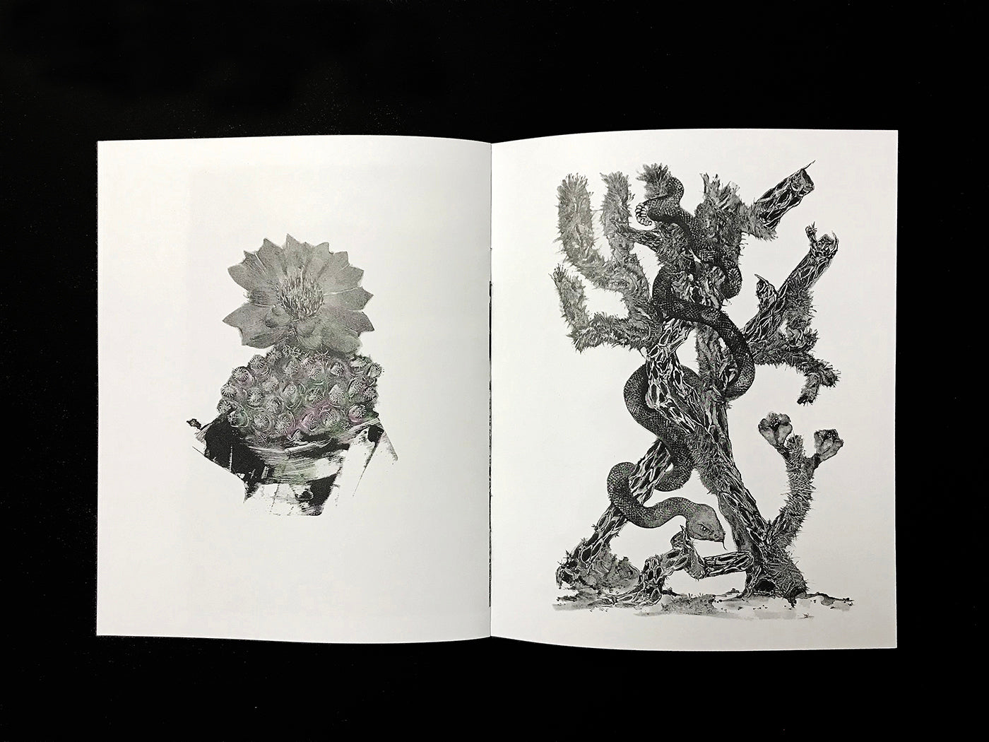 Grady Gordon Zine + Print