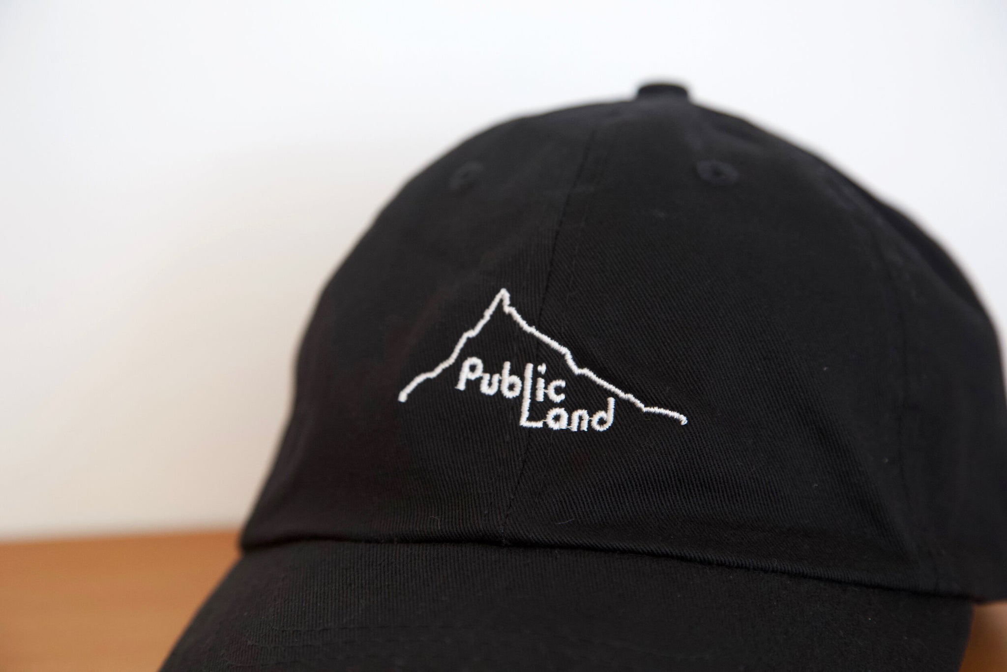 Public Land Hat - Black