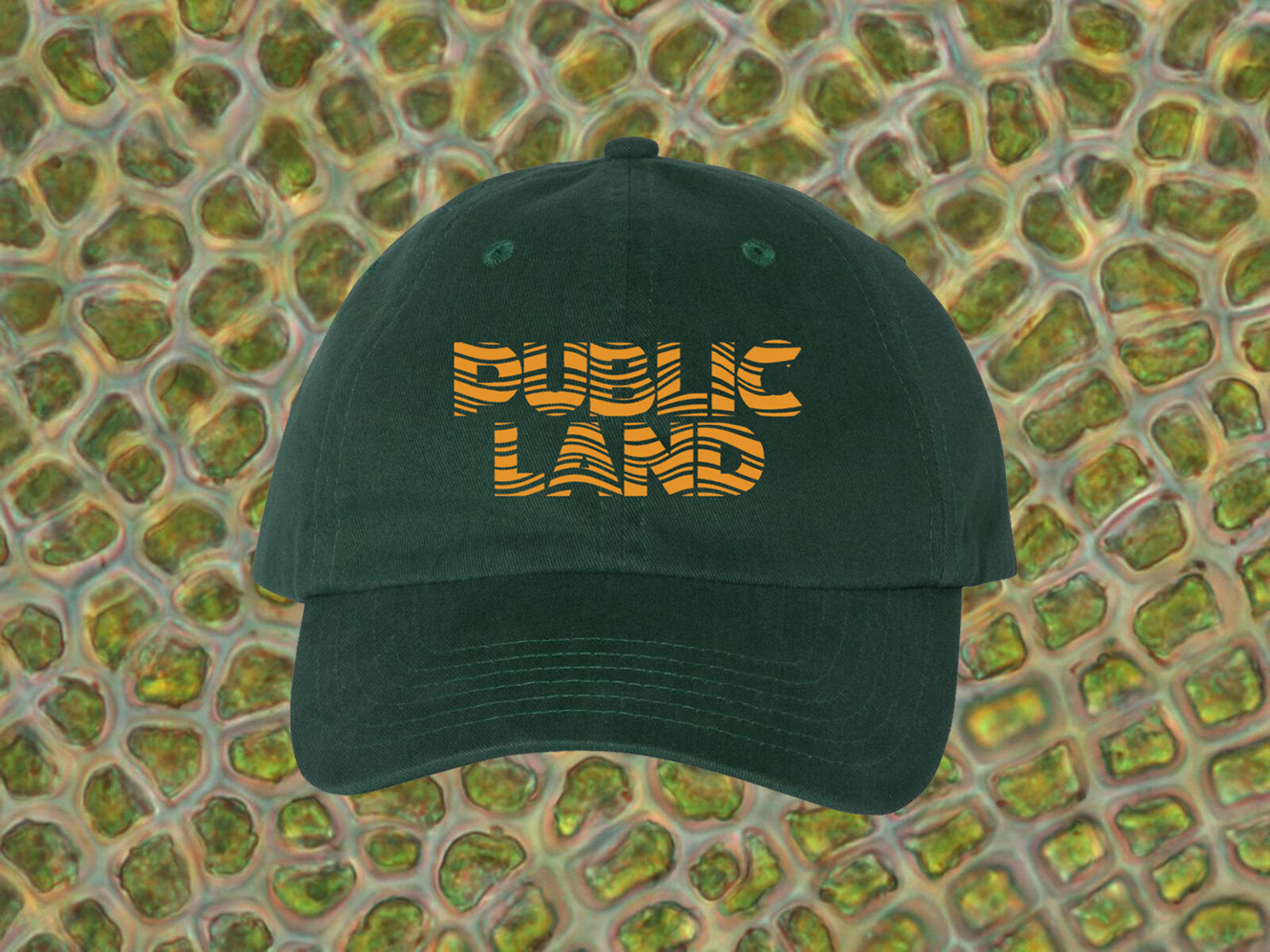 Public Land Wavy Hat - Green