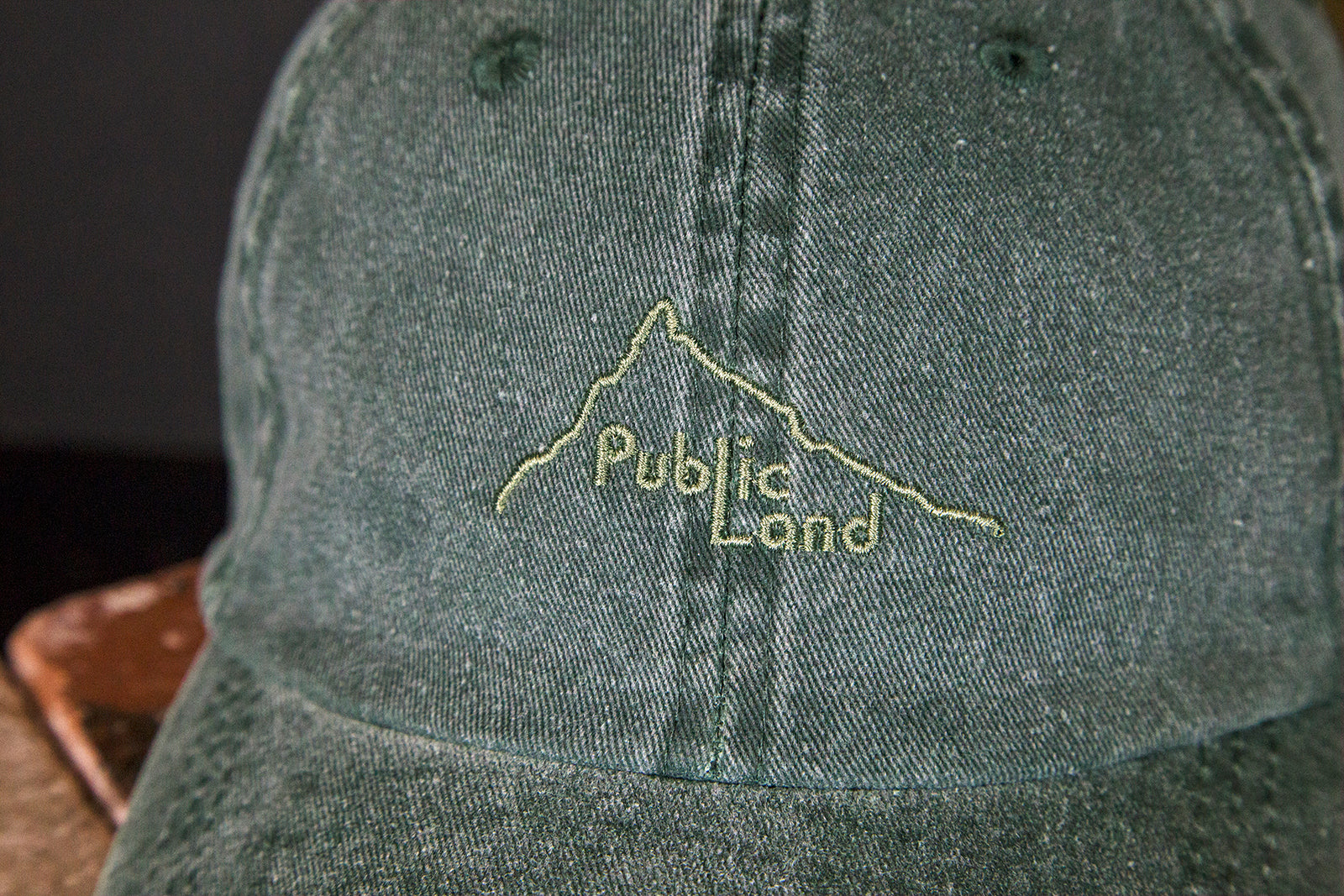 Public Land Hat - Green
