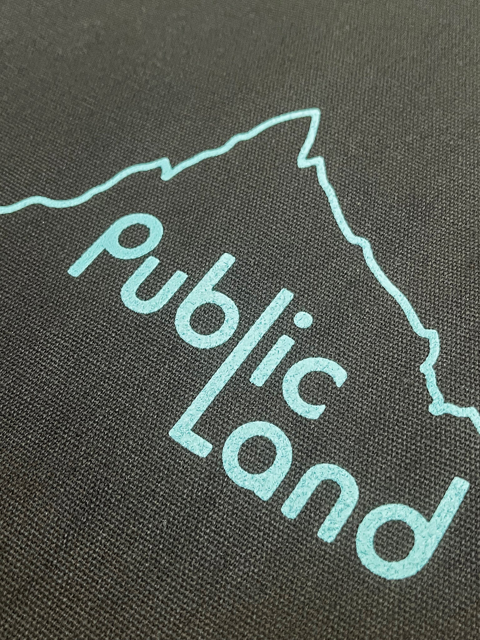 Public Land Tote - Black/Teal